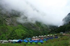 Ayurved-Bhawan-camp